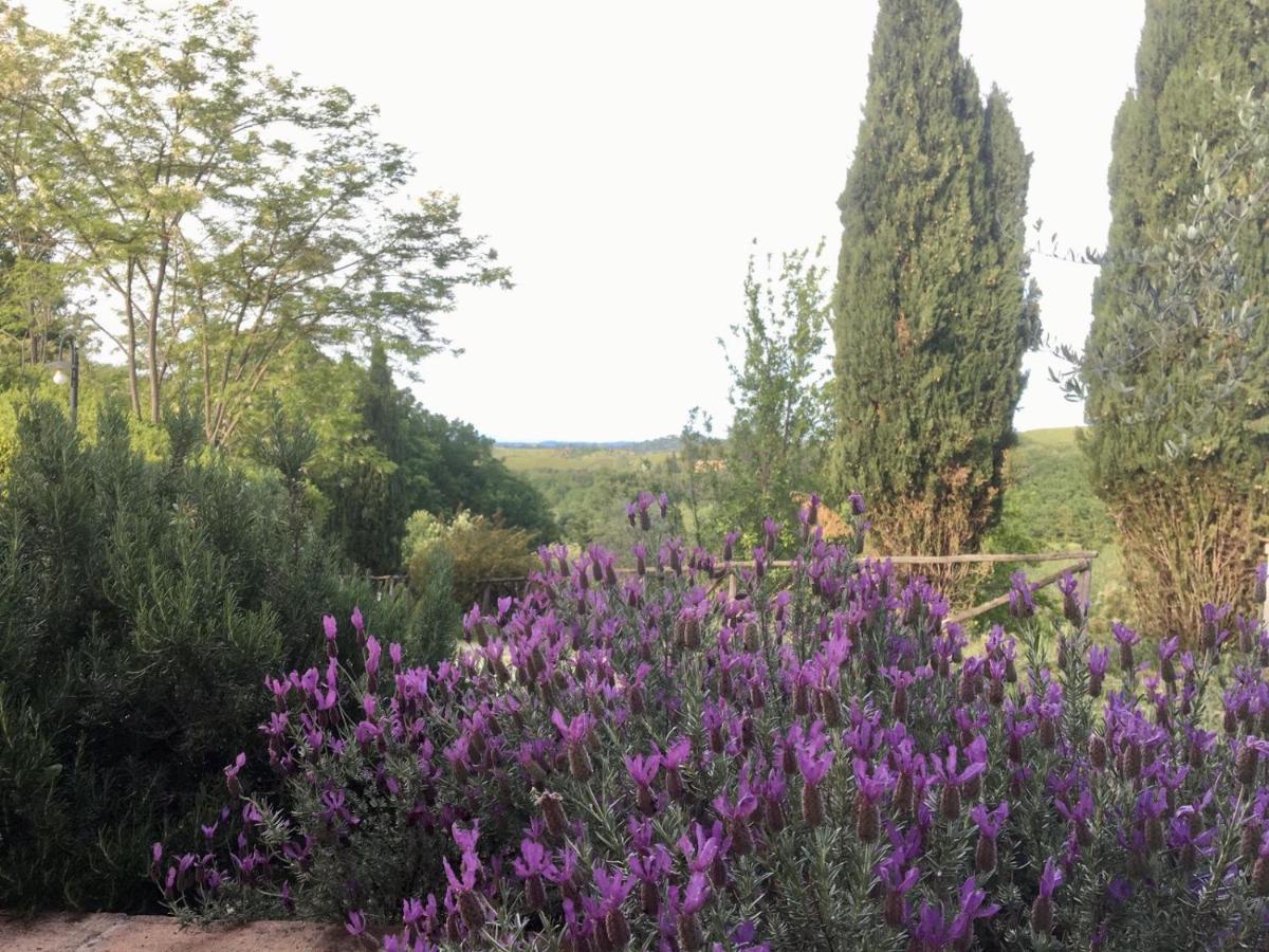 Viva House Villa Montaione Eksteriør bilde