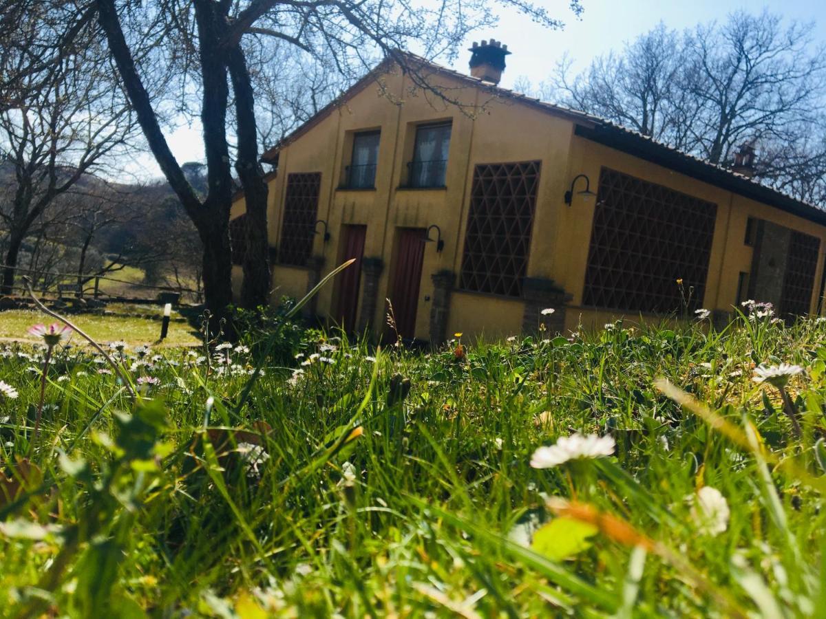 Viva House Villa Montaione Eksteriør bilde