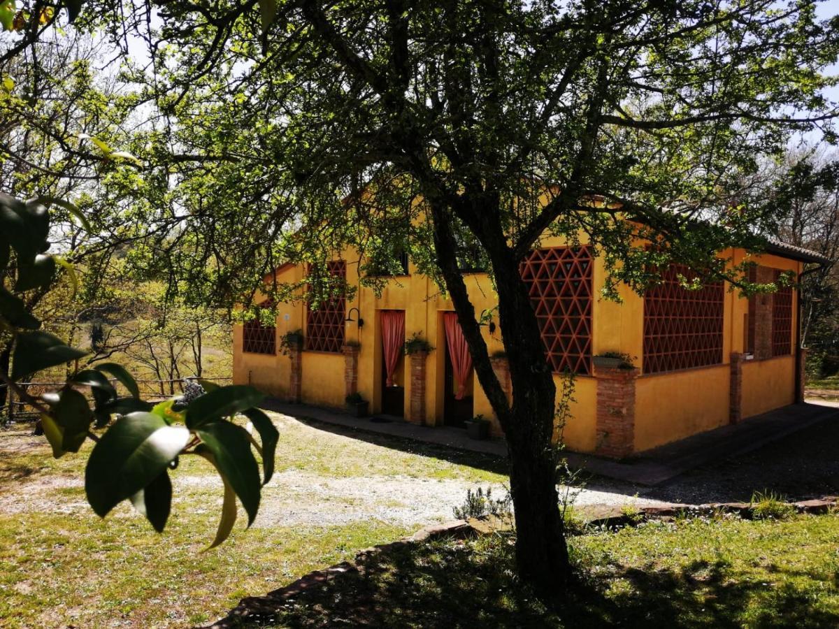 Viva House Villa Montaione Eksteriør bilde