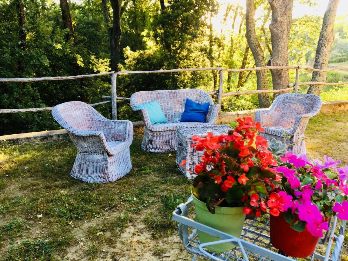 Viva House Villa Montaione Eksteriør bilde